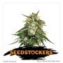 BCN CRITICAL XXL FEM X3-SEED STOCKERS