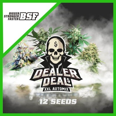 DEALER DEAL XXL AUTOMATIX X12 BSF